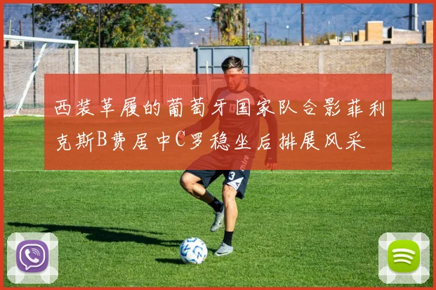 西装革履的葡萄牙国家队合影菲利克斯B费居中C罗稳坐后排展风采